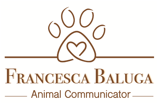 Logo FRANCESCA BALUGA