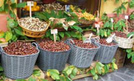 Sagra della castagna