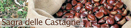 Raccolta delle castagne a Marradi