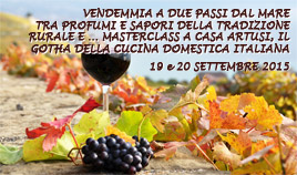 Vendemmia a due passi dal mare