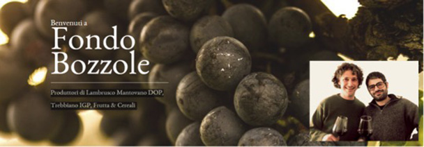 Vini BIO Fondo Bozzole