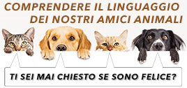 Corsi all’introduzione della comunicazione intuitiva tra persona ed animale