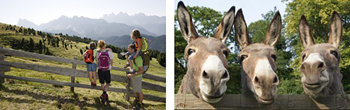 Giornata di trekking per famiglie a Canossa