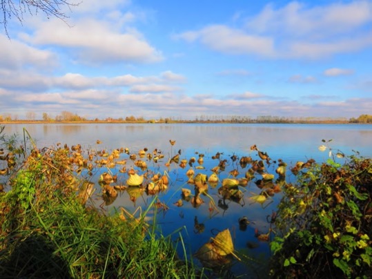 In cammino sulle rive dei laghi di Mantova