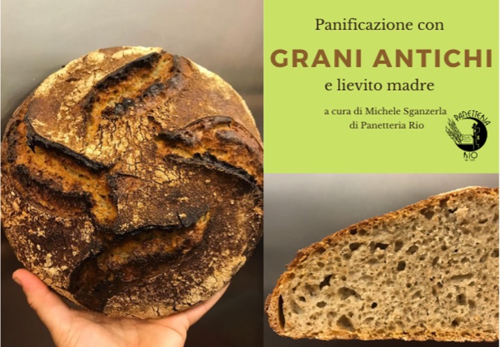 Corso di cucina: Panificazione con GRANI ANTICHI e lievito madre