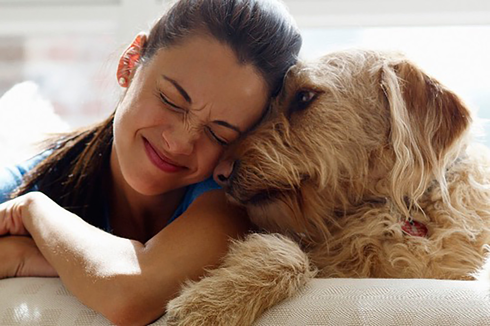 Il viaggio con il tuo animale