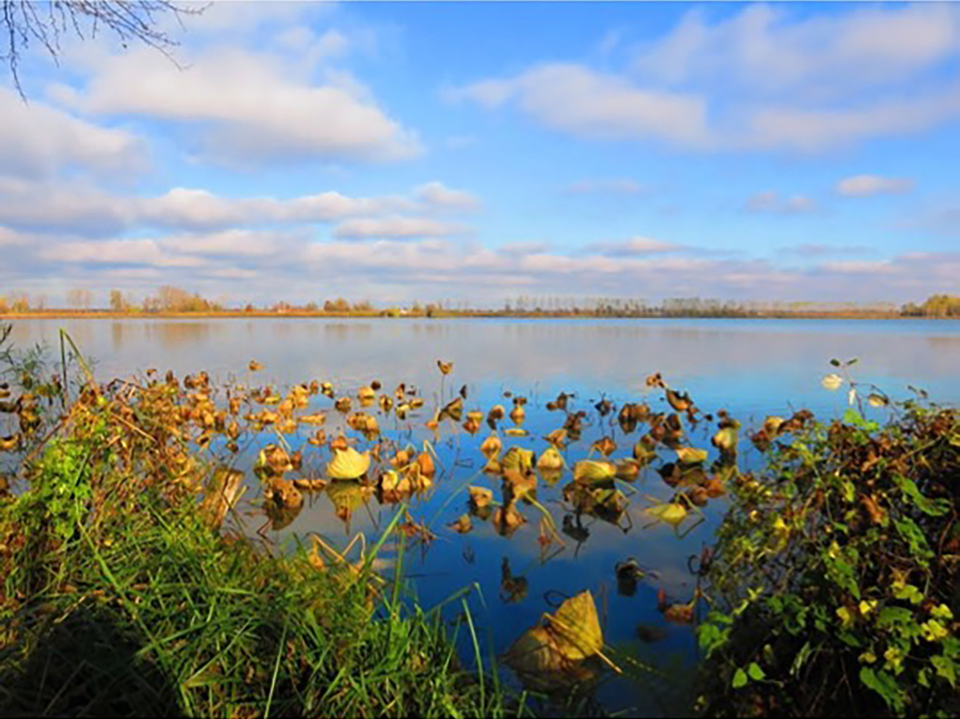 In cammino sulle rive dei laghi di Mantova
