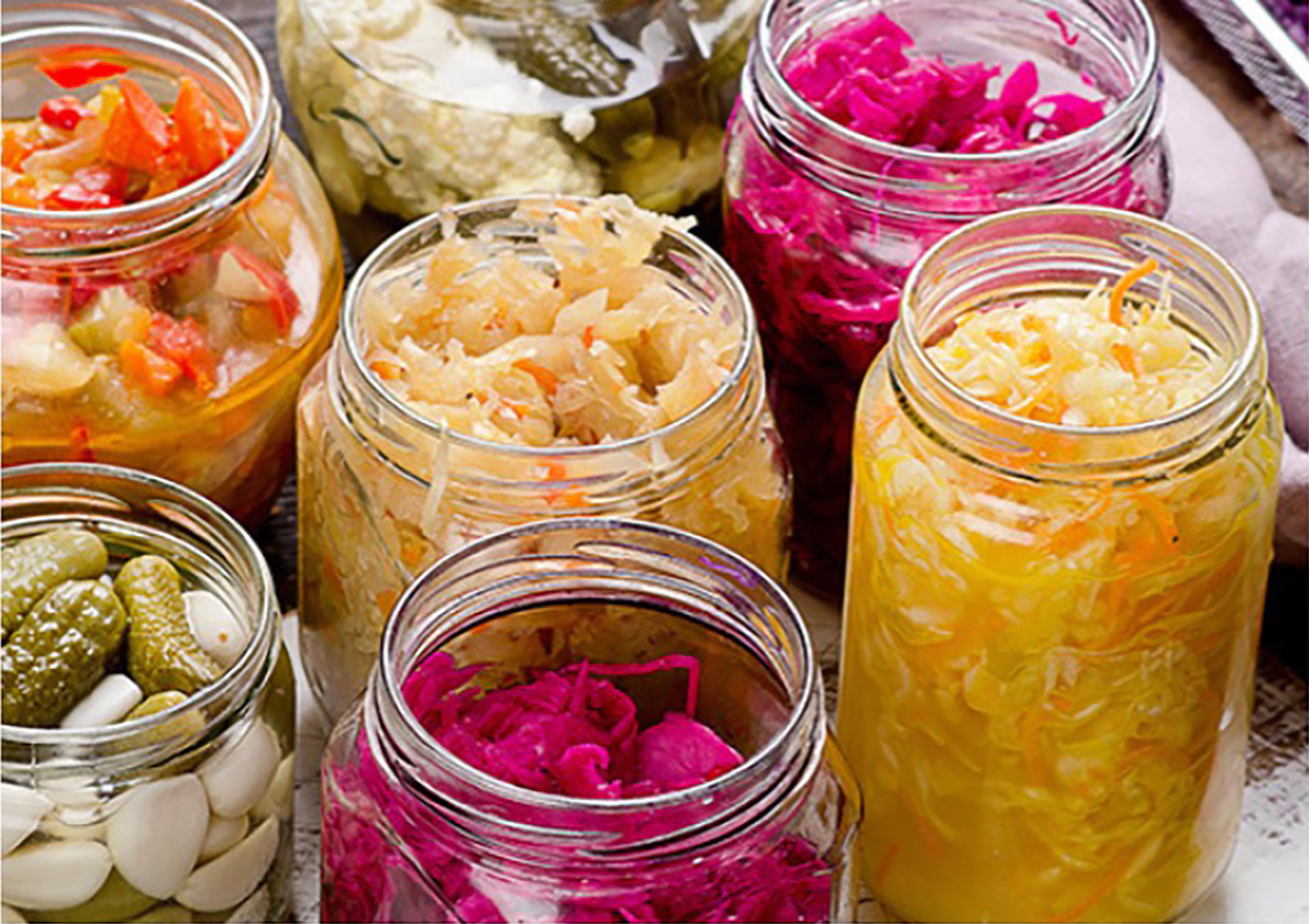 CORSO SULLE FERMENTAZIONI CASALINGHE