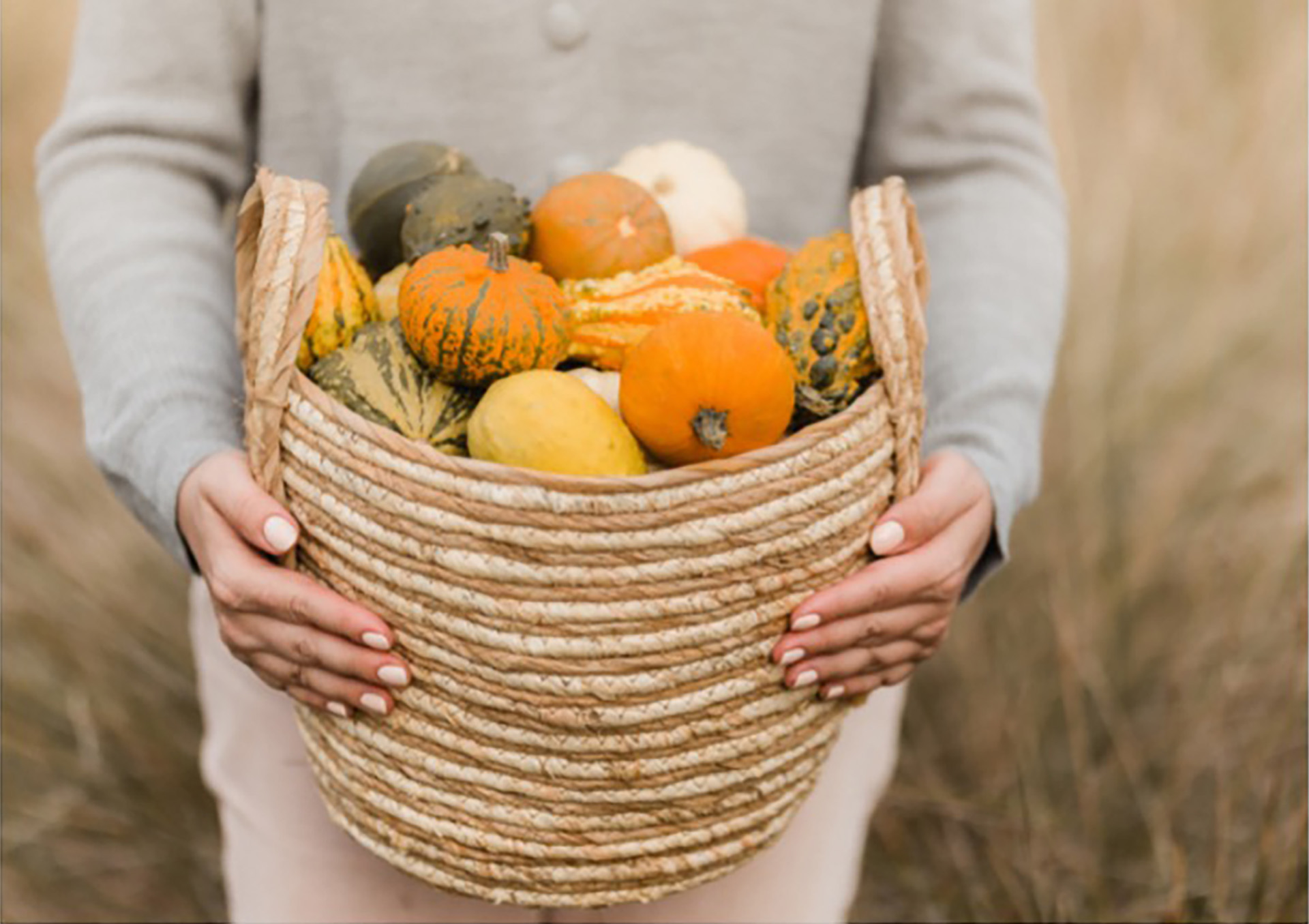 LA CUCINA SANA SECONDO STAGIONE: L’AUTUNNO