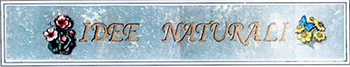 Logo IDEE NATURALI