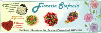 Logo Fioreria Stefania
