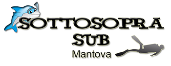Logo Sottosopra Sub